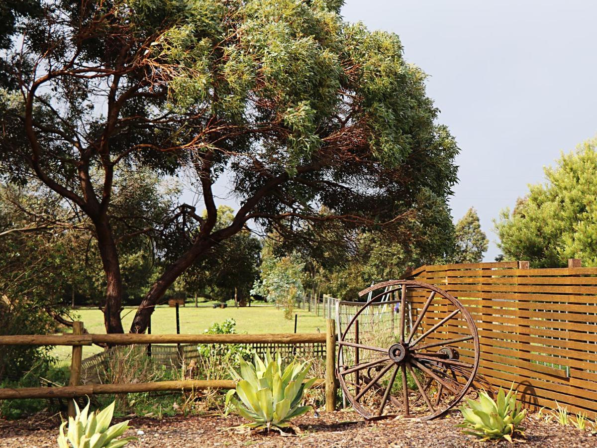 Bellum Hotel Mount Gambier Esterno foto